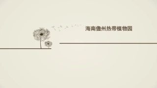 海南儋州热带植物园