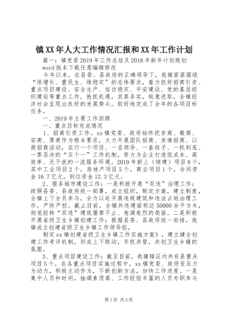 镇XX年人大工作情况汇报和XX年工作计划 