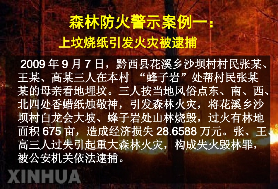 主题班会防溺水防雷电交通安全主题班会PPT课件_第2页