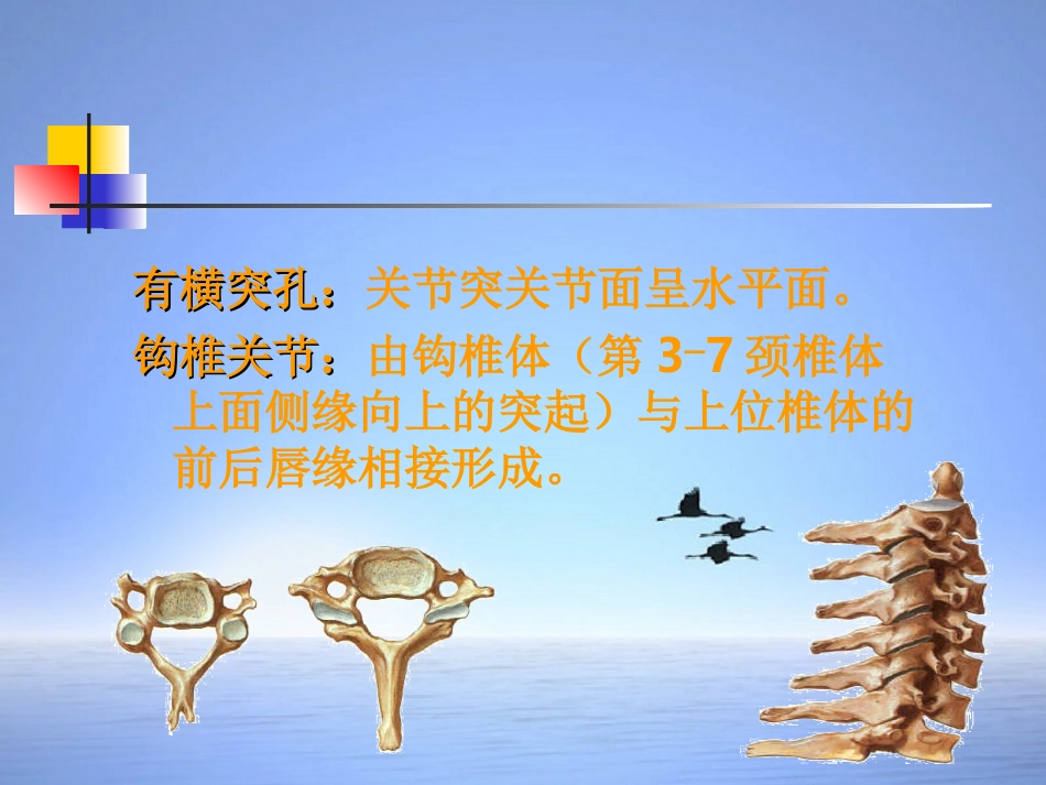 颈椎病PPT幻灯片_第3页