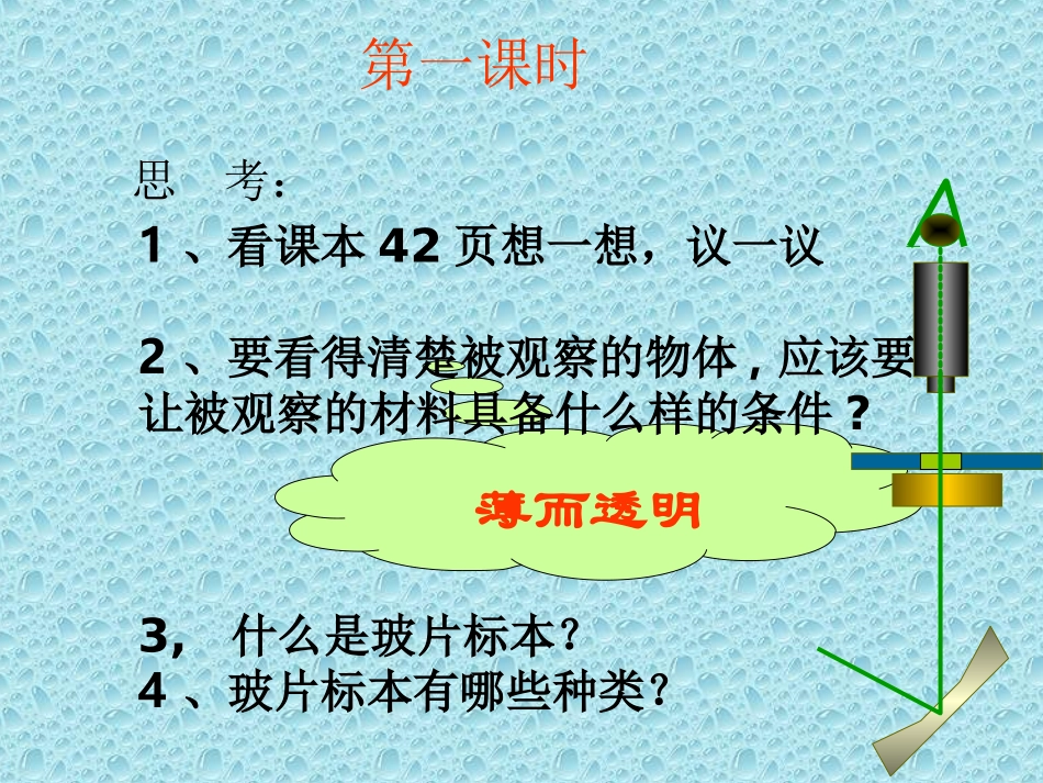 植物细胞与动物细胞_第2页
