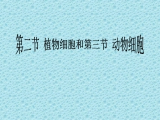 植物细胞与动物细胞