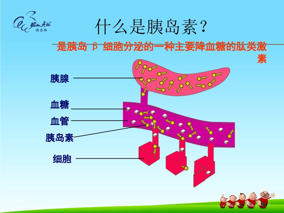 血糖监测课件_第2页