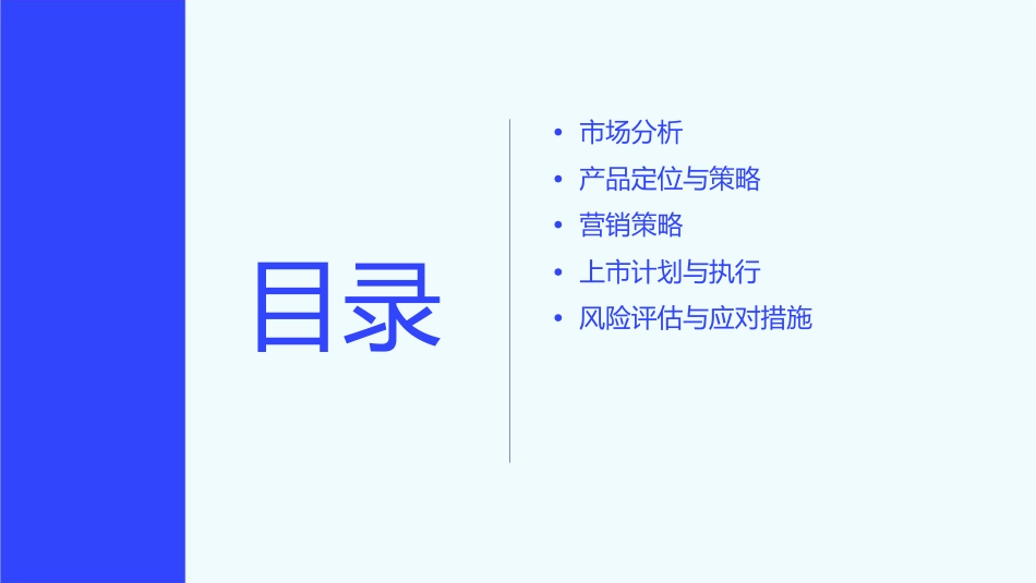 以小搏大以快制胜膏霜上市方案课件1_第2页