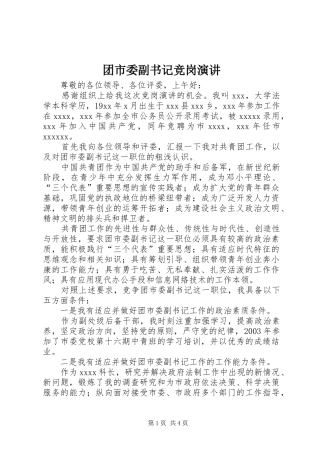 团市委副书记竞岗演讲