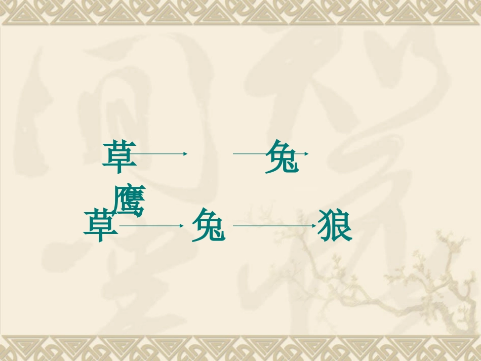 教科版科学五年级下册《维护生态平衡》PPT课件_第2页