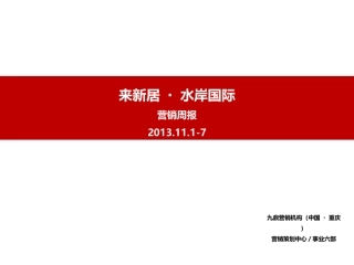 房地产策划周报模板20131113