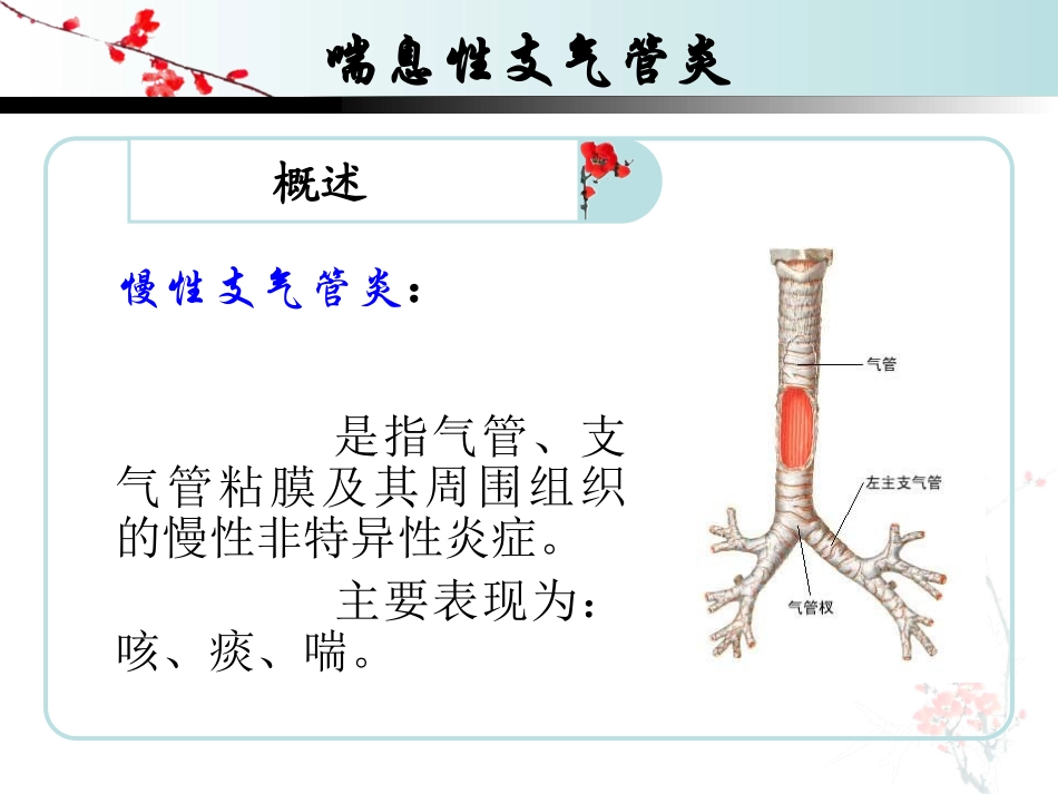 慢性支气管炎的护理查房_第2页