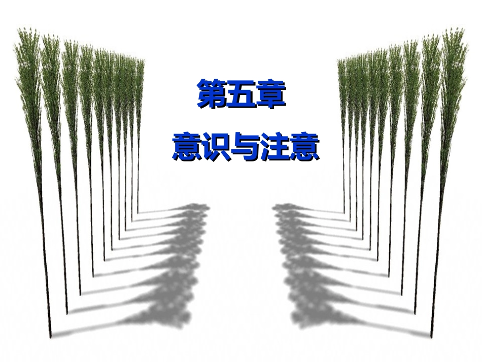 普通心理学 第5章 意识和注意(新)_第1页