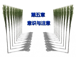 普通心理学 第5章 意识和注意(新)