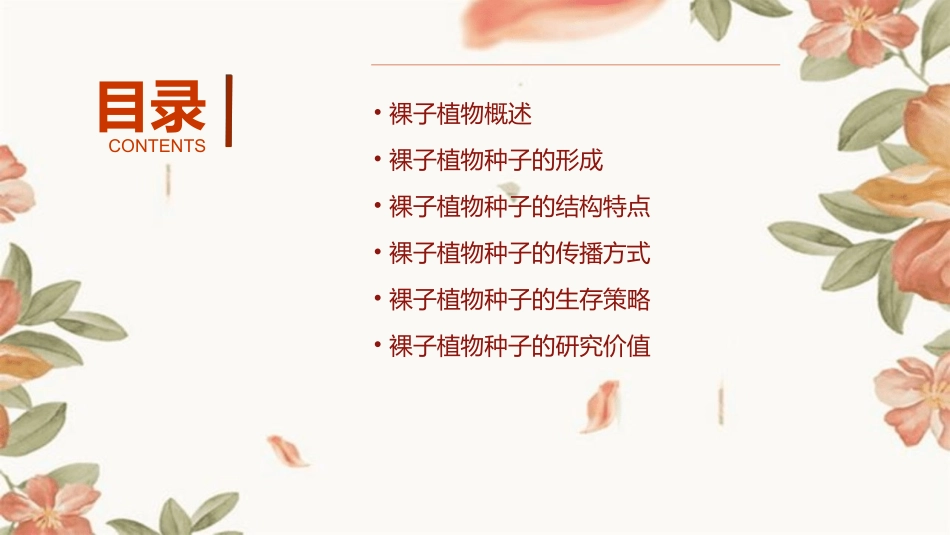 裸子植物的种子结构特点课件_第2页