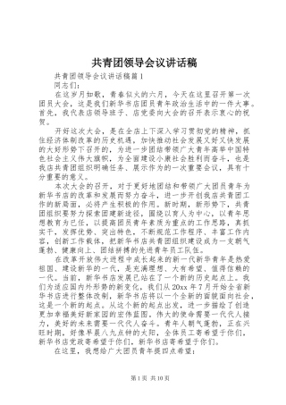 共青团领导会议讲话稿