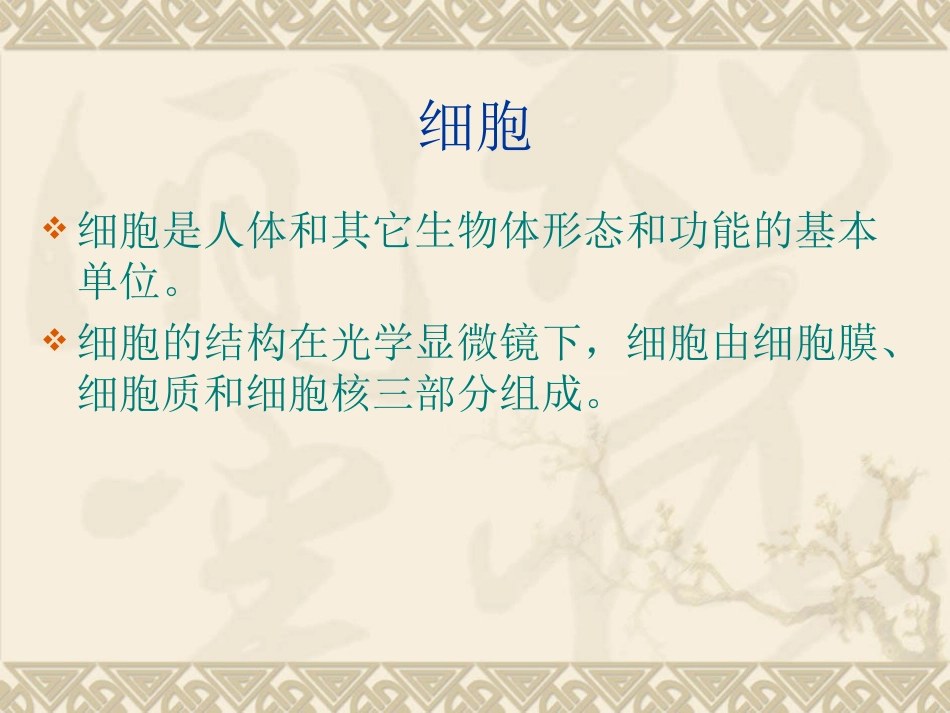 医学基础知识_第3页