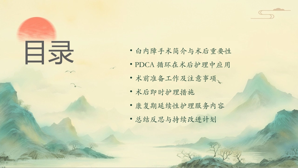 眼科白内障术后护理PDCA汇报护理课件_第2页