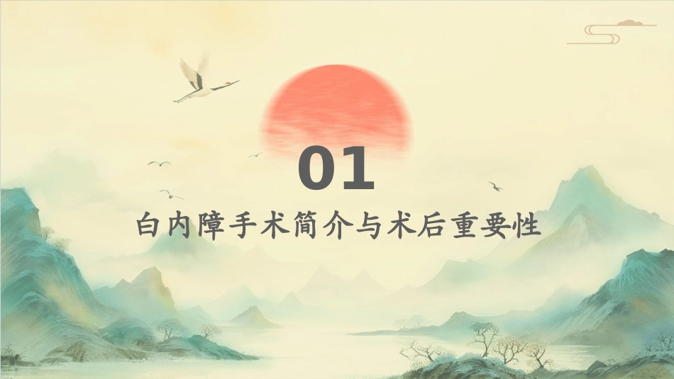 眼科白内障术后护理PDCA汇报护理课件_第3页