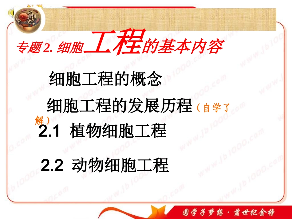 公开课《植物细胞工程的基本技术》课件_第2页