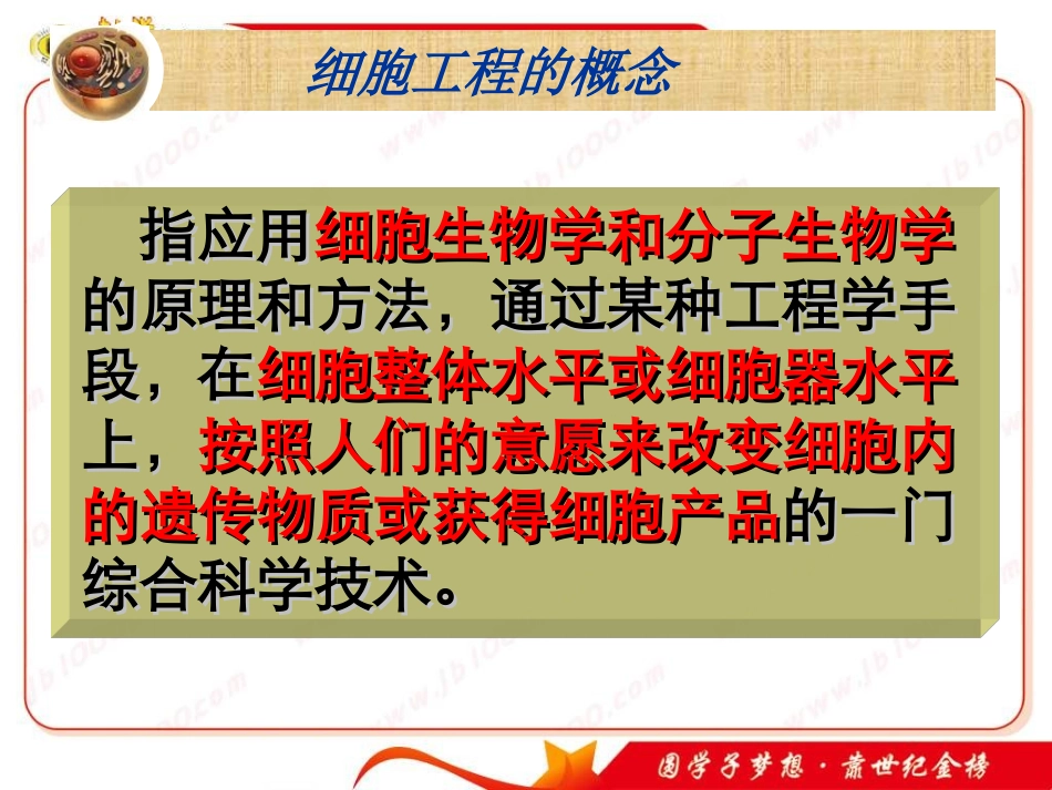 公开课《植物细胞工程的基本技术》课件_第3页