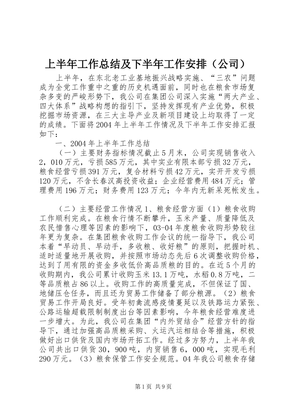 上半年工作总结及下半年工作安排（公司） _第1页