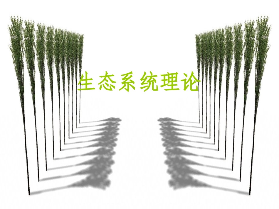 生态系统理论_第1页