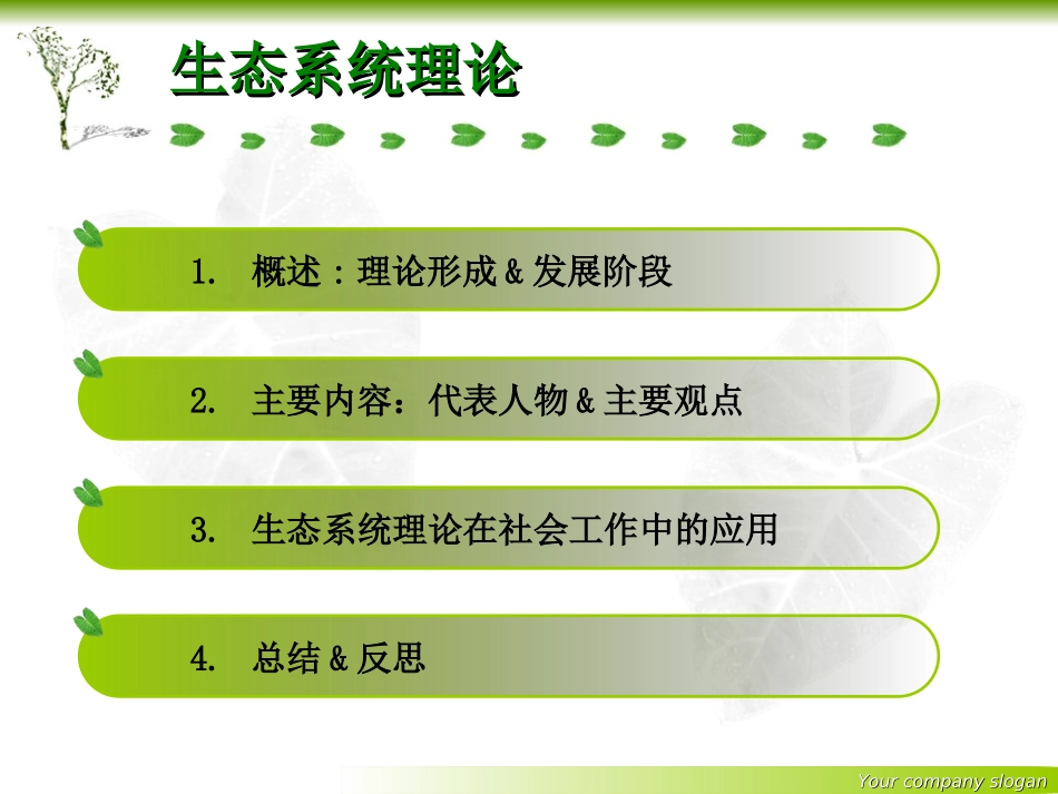 生态系统理论_第2页