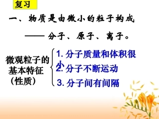 简洁版 3.1分子和原子( 第2课时)杨莲