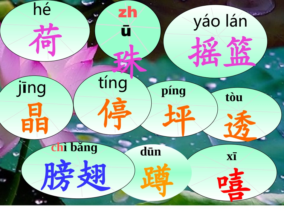 精品生字模板_第3页