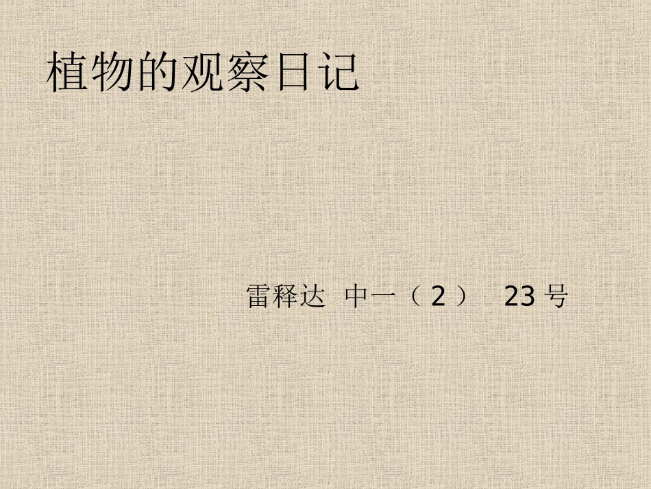植物的观察日记_第1页