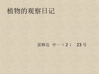 植物的观察日记