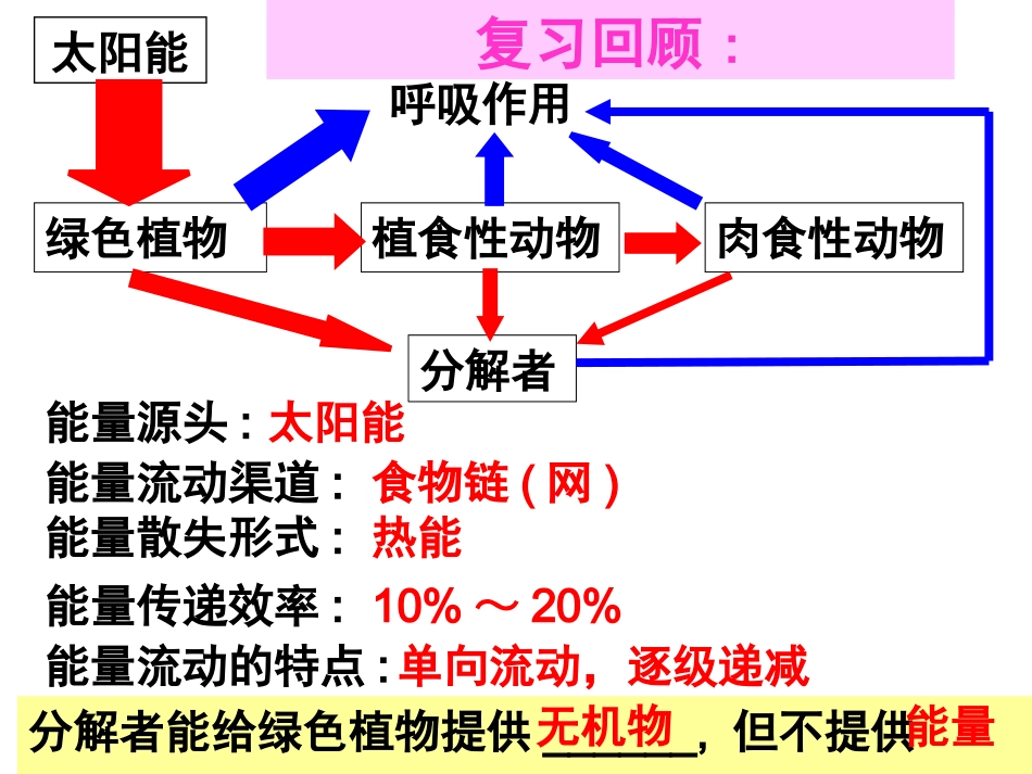 生态系统的物质循环(最新的)_第1页