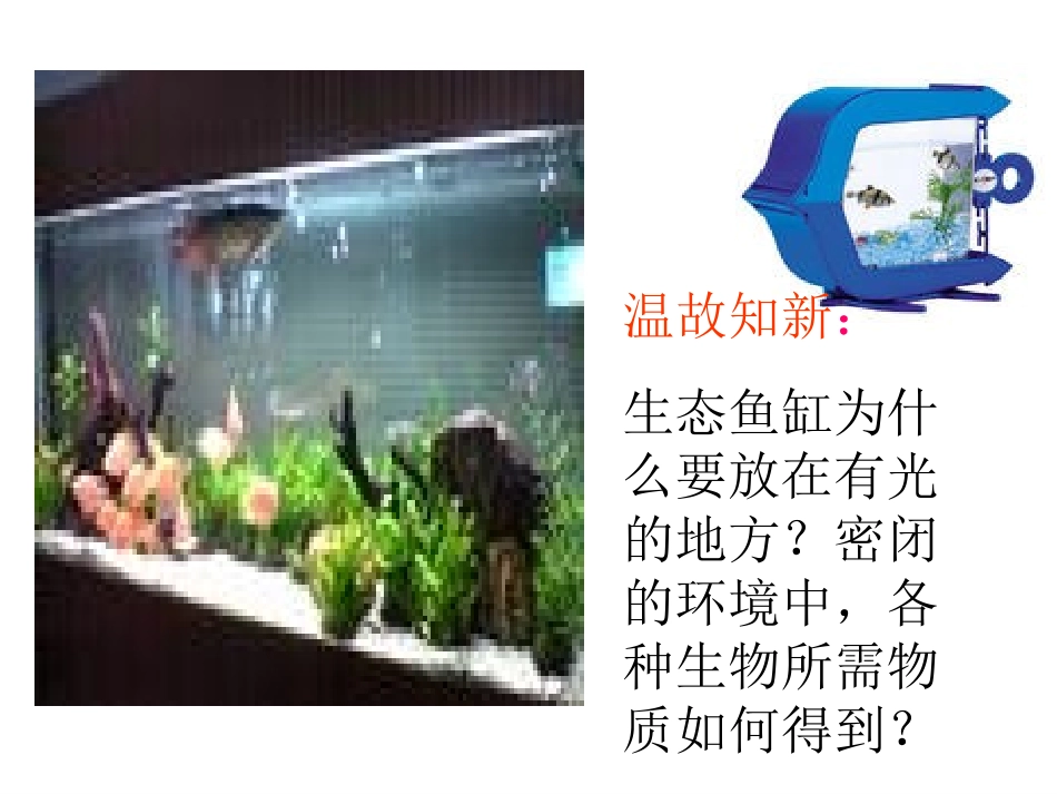 生态系统的物质循环(最新的)_第2页