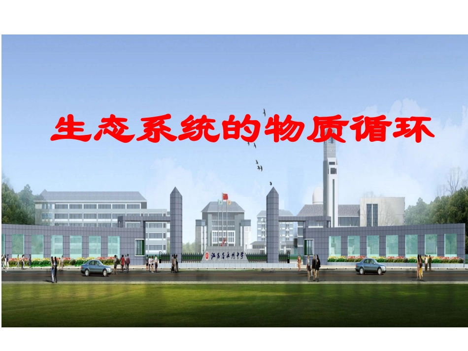 生态系统的物质循环(最新的)_第3页