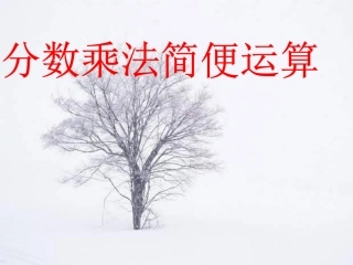 分数乘法混合运算和简便运算 (1)
