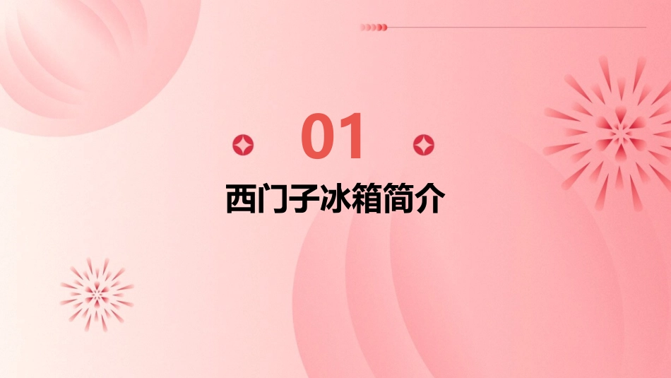 西门子冰箱终端执行手册课件_第3页