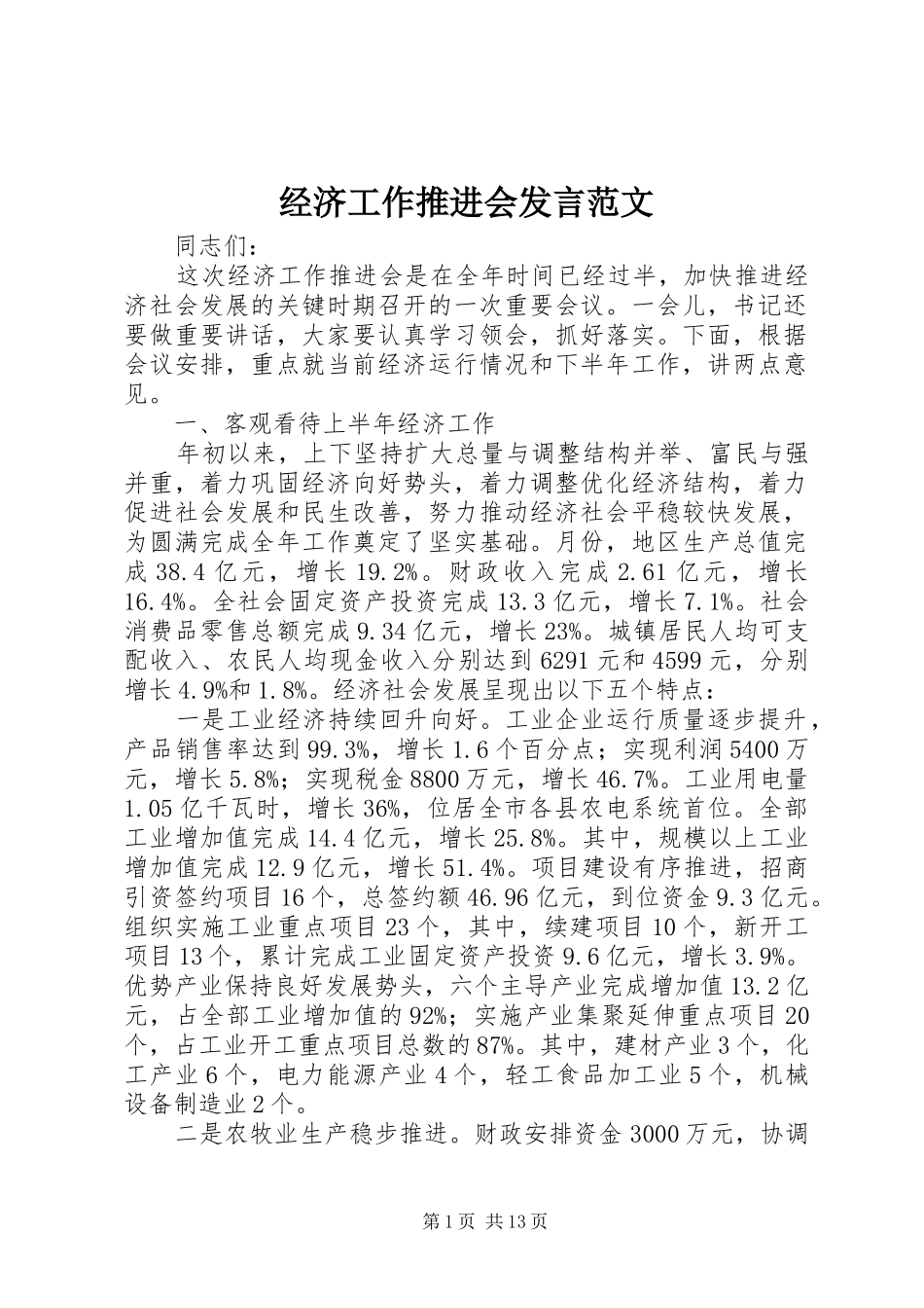 经济工作推进会发言范文_第1页