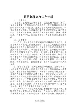 县药监局XX年工作计划 