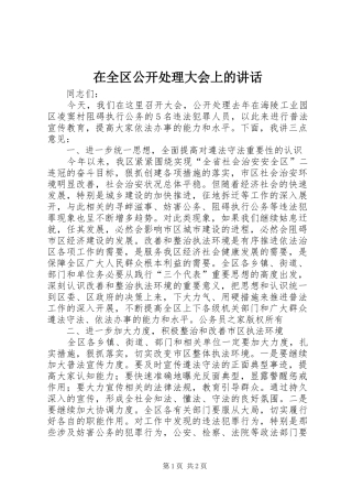 在全区公开处理大会上的讲话
