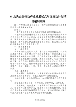 龙头企业带动产业发展试点年度滚动计划项目编制细则
