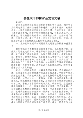 县挂职干部探讨会发言文稿