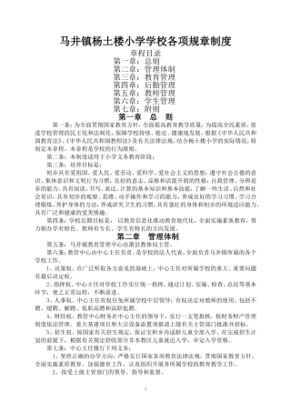 农村小学各项规章制度 (2)