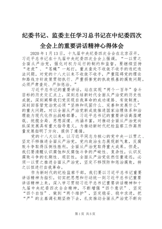 纪委书记、监委主任学习总书记在中纪委四次全会上的重要讲话精神心得体会