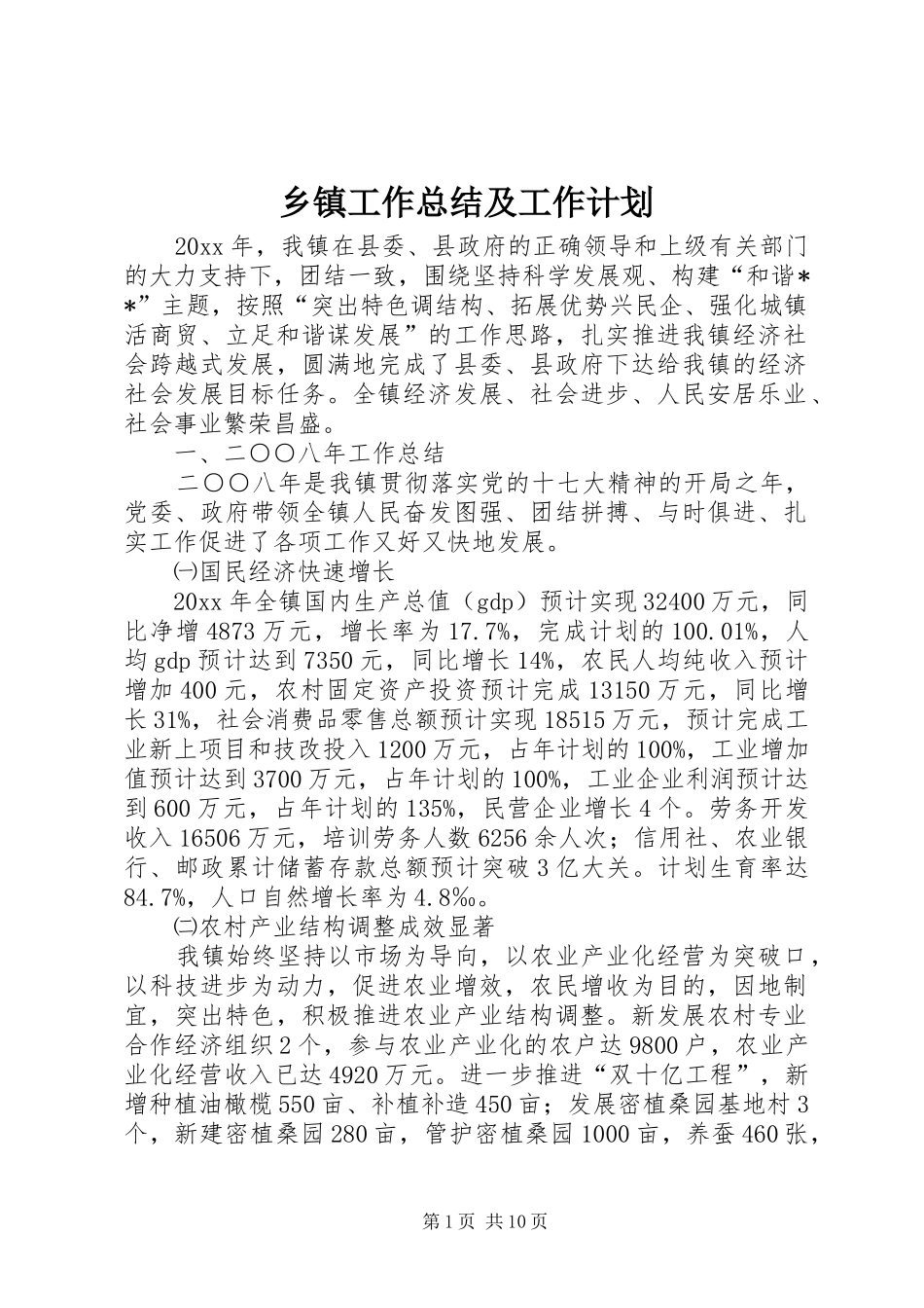 乡镇工作总结及工作计划 _第1页