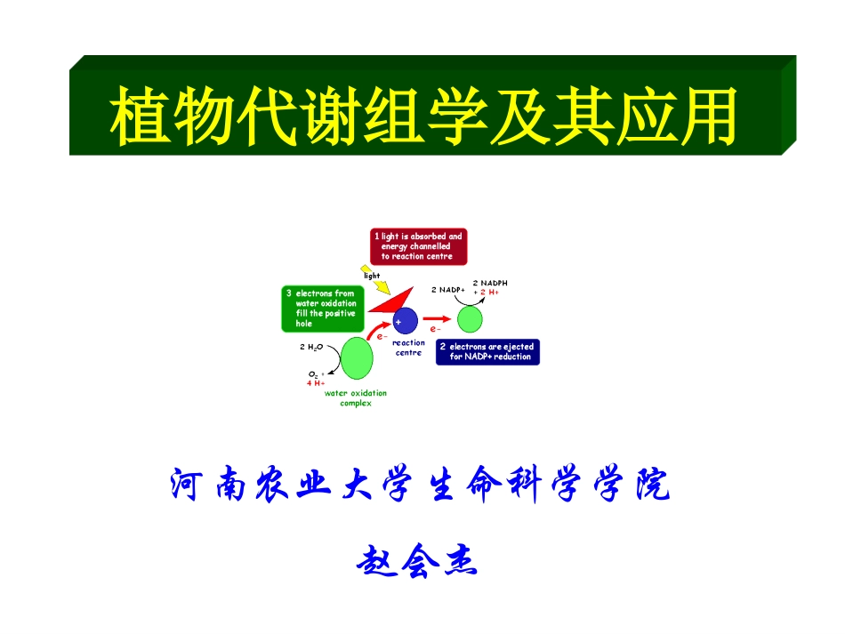 植物代谢组学_第1页