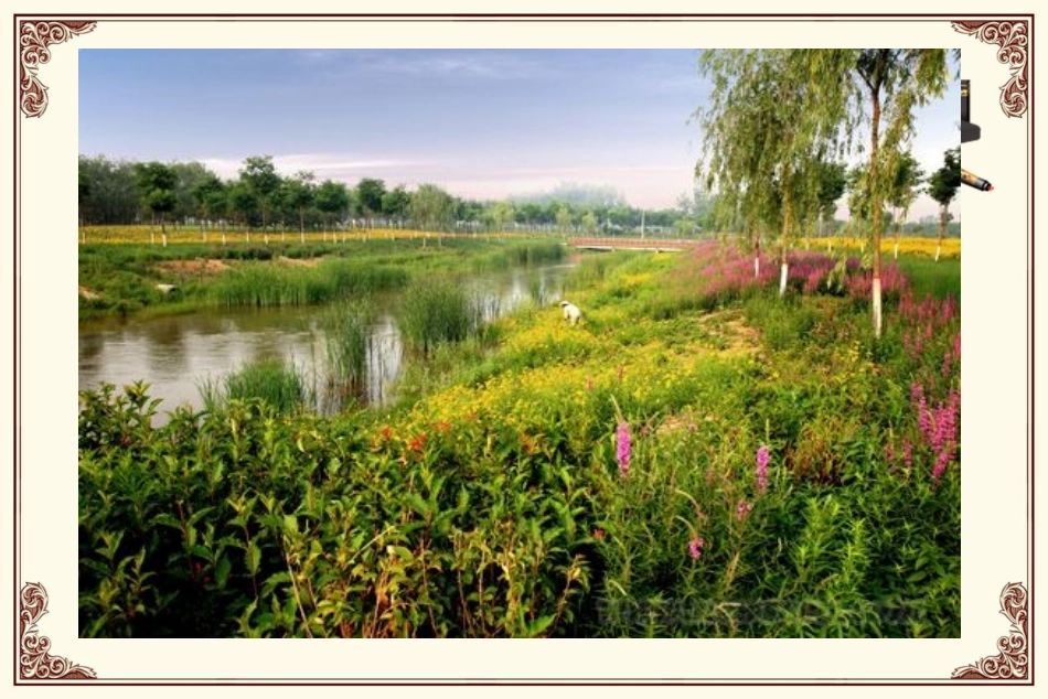 生态河道案例与河道硬化案例_第3页