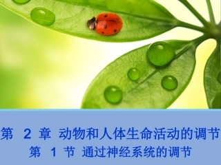 通过神经系统的调节(很实用)