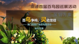 房地产百鸟园展览活动执行方案—正九传媒