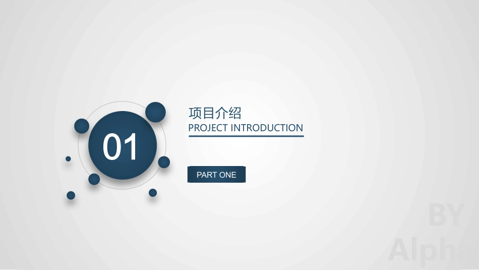 跨境电商商业计划书_第3页