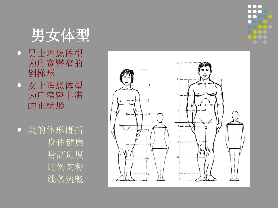 个人形象设计—男女体型分类与服装搭配(教案)_第3页