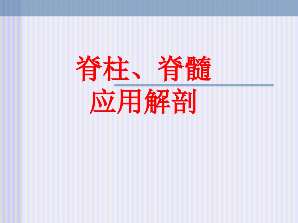 脊柱解剖图(免费)_第2页