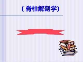 脊柱解剖图(免费)