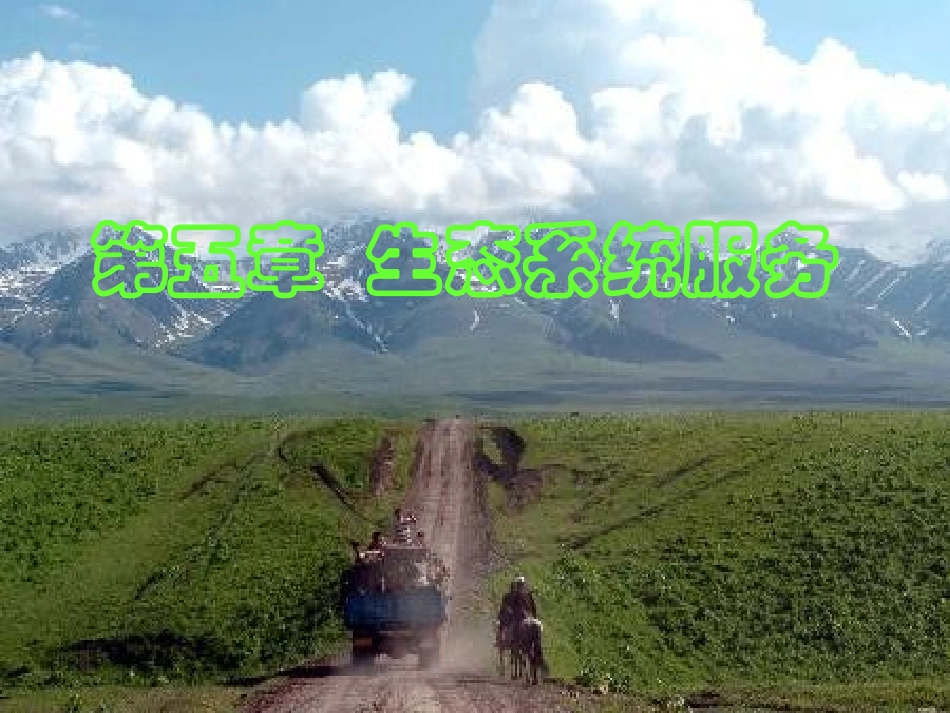 生态系统服务_第1页